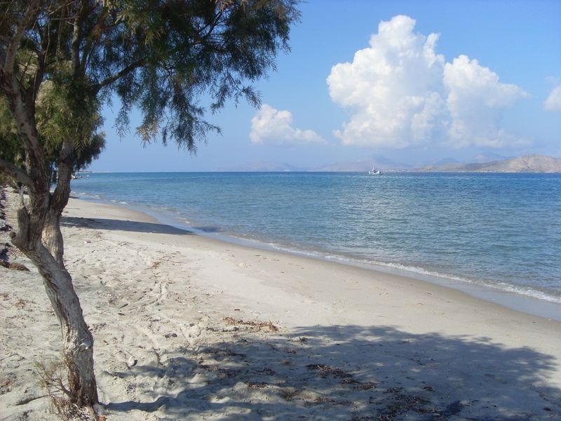 מלון Tigaki Pelopas מראה חיצוני תמונה